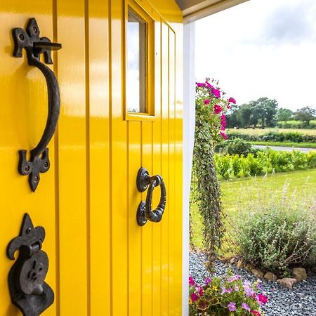 Katie'S Cottage Bellaghy מראה חיצוני תמונה
